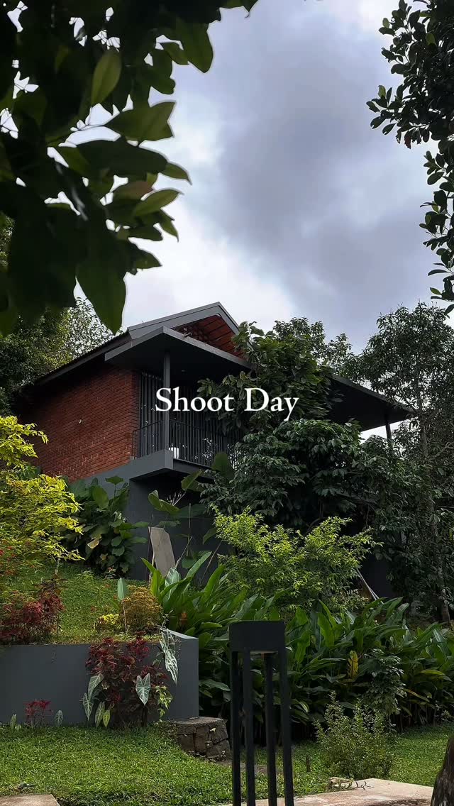 A house surrounded by greenery on a production shoot